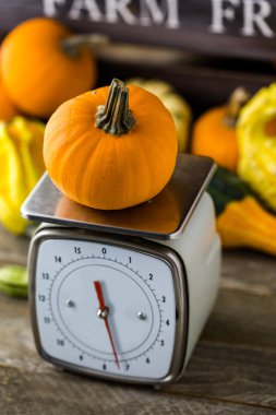 Turuncu kabak ölçeklerde