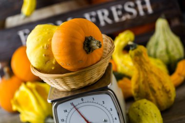 Taze organik kabaklar