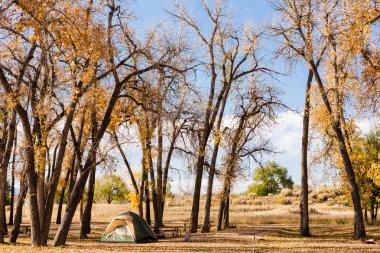 Sonbahar Colorado'da kamp.