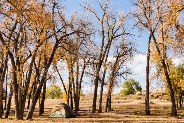 Sonbahar Colorado'da kamp.