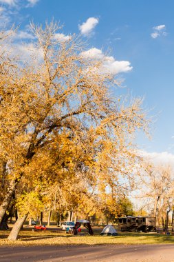 Sonbahar Colorado'da kamp.
