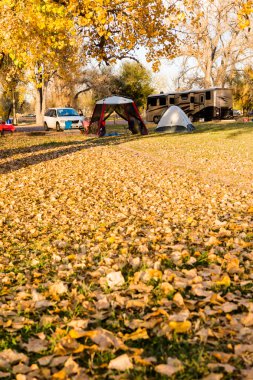 Sonbahar Colorado'da kamp.