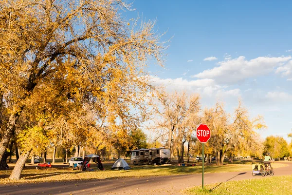 Sonbahar Colorado'da kamp.
