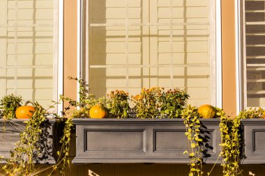 Cadılar Bayramı huse dekor