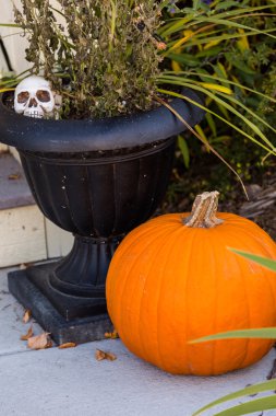 Cadılar Bayramı dekorasyonu, kabaklar