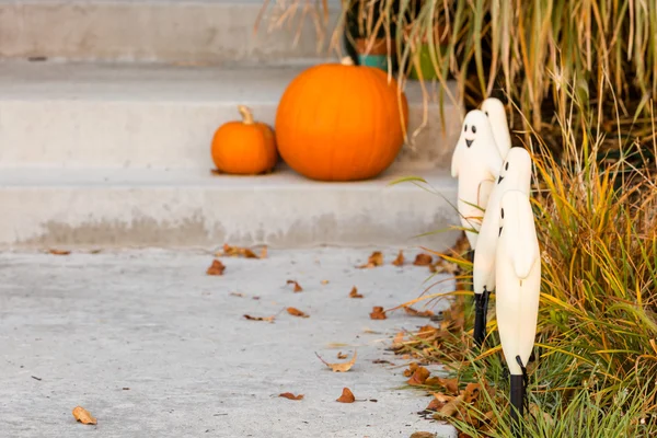 Halloween inredning, pumpor — Stockfoto