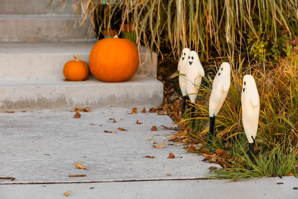 Halloween inredning, pumpor — Stockfoto