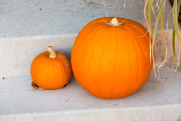 Halloween-Dekor, Kürbisse — Stockfoto