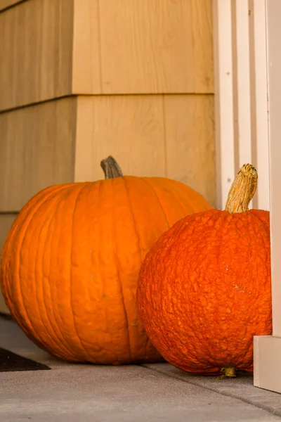 Halloween decor, pumpkins — Stock Photo, Image