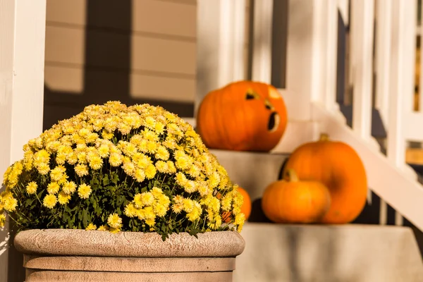 Cadılar Bayramı dekorasyonu, kabaklar