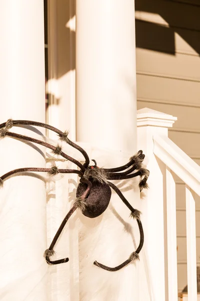 Halloween decor, spider — Stock Photo, Image