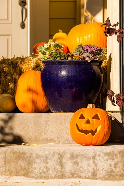 Decoración de Halloween, calabazas — Foto de Stock