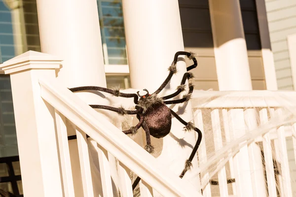 Decoración de Halloween, araña — Foto de Stock
