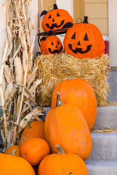 Halloween inredning, pumpor — Stockfoto