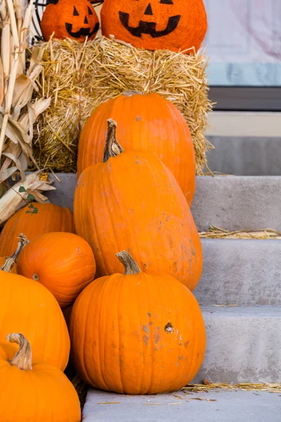 Decoración de Halloween, calabazas — Foto de Stock