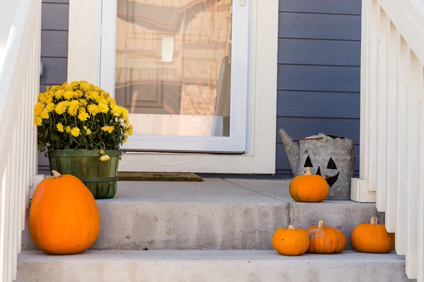 Decoración de Halloween, calabazas — Foto de Stock