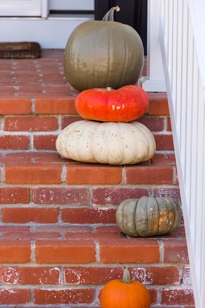 Halloween decor, pumpkins — Stock Photo, Image