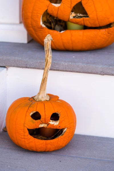 Halloween decor, pumpkins — Stock Photo, Image