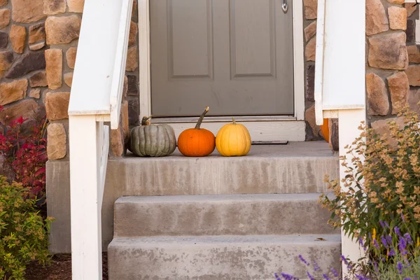 Halloween decor, pumpkins — Stock Photo, Image