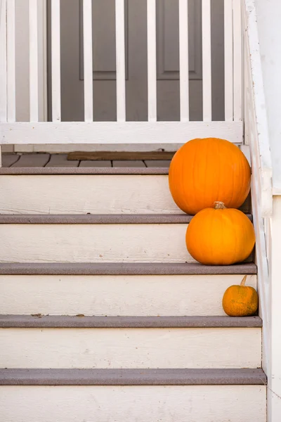 Halloween inredning, pumpor — Stockfoto