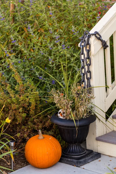 Decorazione di Halloween, zucche — Foto Stock