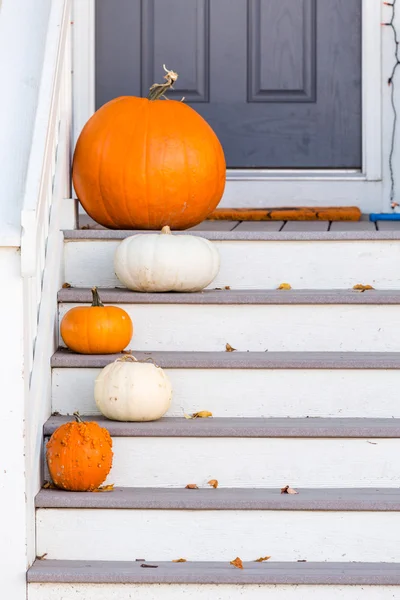 Halloween inredning, pumpor — Stockfoto