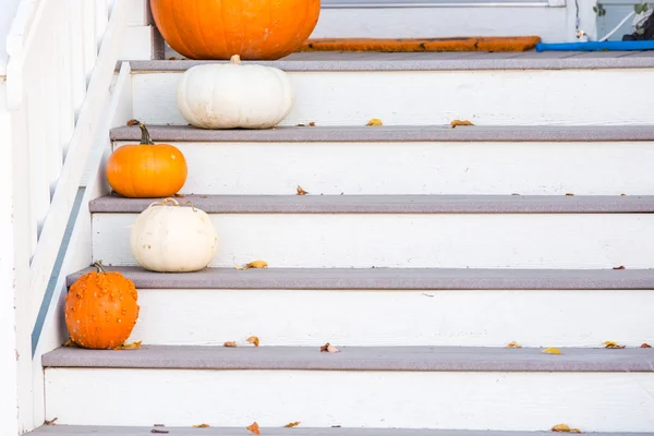 Decorazione di Halloween, zucche — Foto Stock