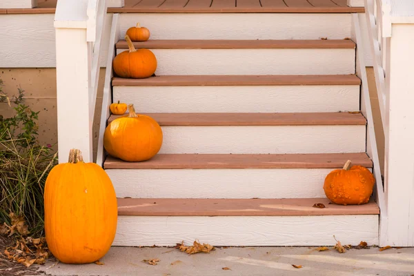 Halloween výzdobou, dýně — Stock fotografie