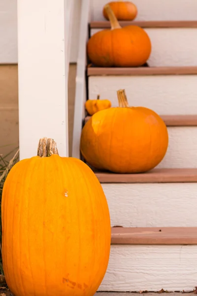 Halloween decor, pumpkins — Stock Photo, Image