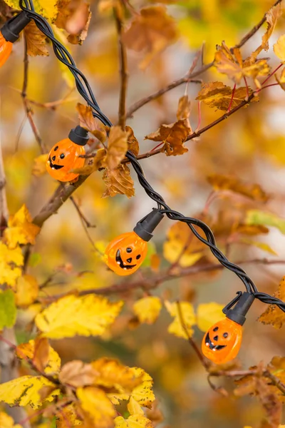 Wystrój Halloween, lampiony — Zdjęcie stockowe