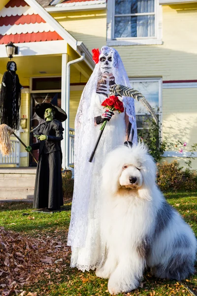 Woman in costume of a dead bride — Stock Photo, Image