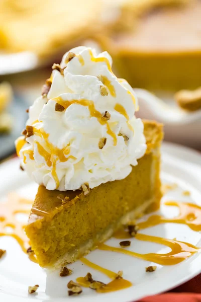 Homemade pie slice on plate — Stock Photo, Image