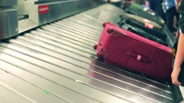 Afhalen van bagage na de vlucht — Stockvideo