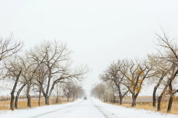 Winter, fresh morning snow on the road view — Stock Photo, Image