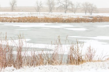 Yaban hayatı sığınma evi alan taze kar sonra
