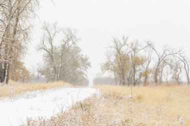 Kış, taze sabah kar görünümü