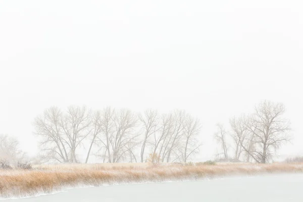 Vinter, färska morgon snö Visa — Stockfoto