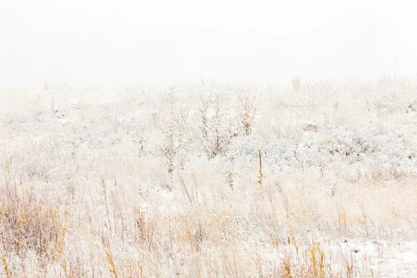 雪の冬、新鮮な朝の景色 — ストック写真