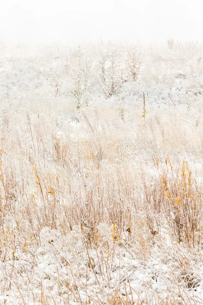 Télen, a friss reggel hó megtekintése — Stock Fotó