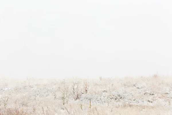 Зима, свіжий ранок вид снігу — стокове фото