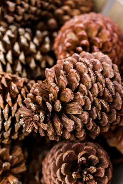 Pine cones in basket — Stock Photo, Image