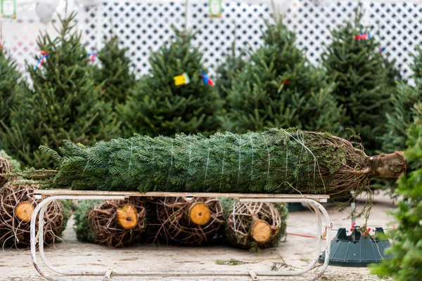 Granja árbol de Navidad —  Fotos de Stock