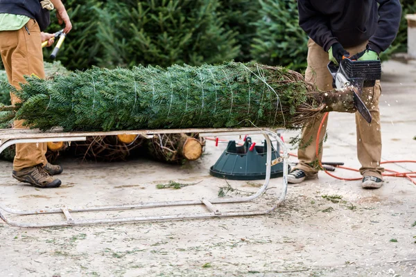 クリスマス ツリー農園 — ストック写真