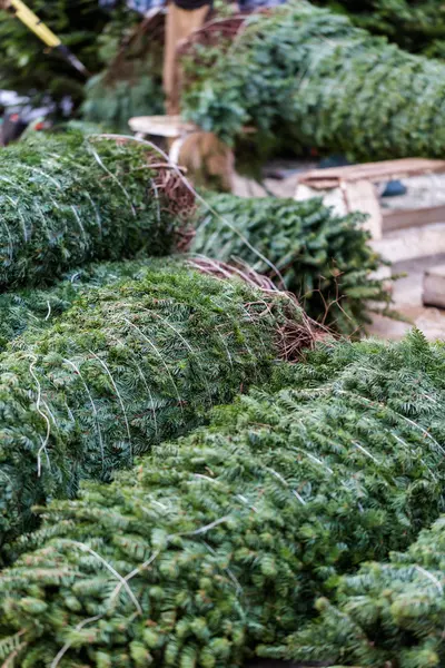 Granja árbol de Navidad —  Fotos de Stock