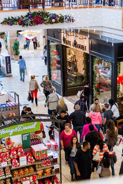 Typical North American mall on Black Friday shopping — Stock Photo, Image