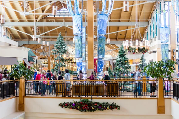 Typical North American mall on Black Friday shopping — Stock Photo, Image