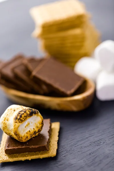 Taze kızarmış smores — Stok fotoğraf