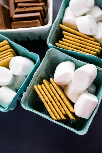 Büyük beyaz marshmallow ile Smores istasyonu — Stok fotoğraf