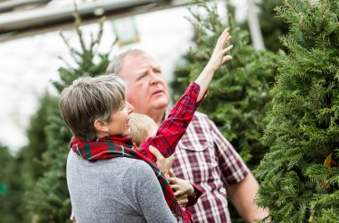Aile bir ağaç Noel için seçme