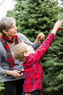 Anne ve oğlu Noel ağacı çiftliği